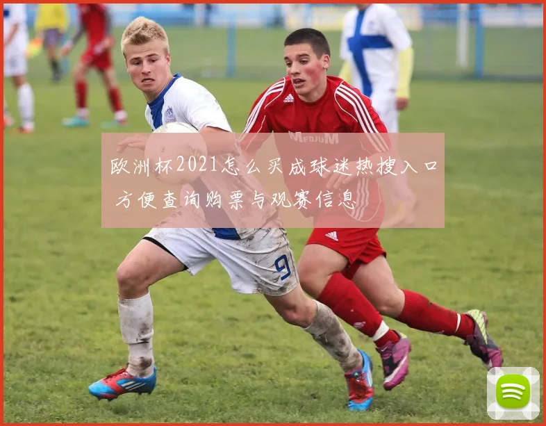 欧洲杯2021怎么买成球迷热搜入口 方便查询购票与观赛信息