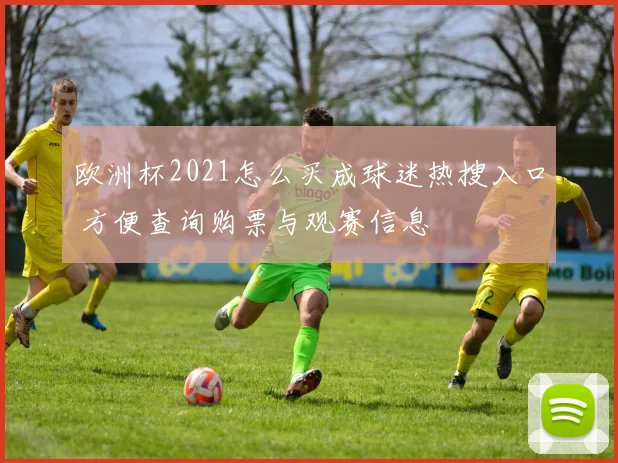欧洲杯2021怎么买成球迷热搜入口 方便查询购票与观赛信息